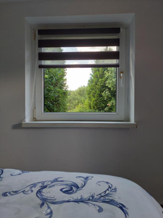 Cabana Cu Teren De Tenis -- Parter Banita ภายนอก รูปภาพ